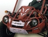 PGO Bugrider 200 DS