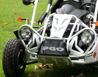 PGO Bugrider 250 DS